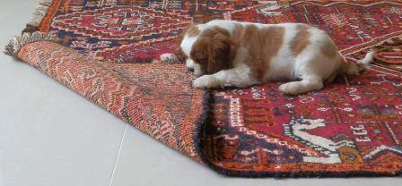 Rug Repairs & Restoration